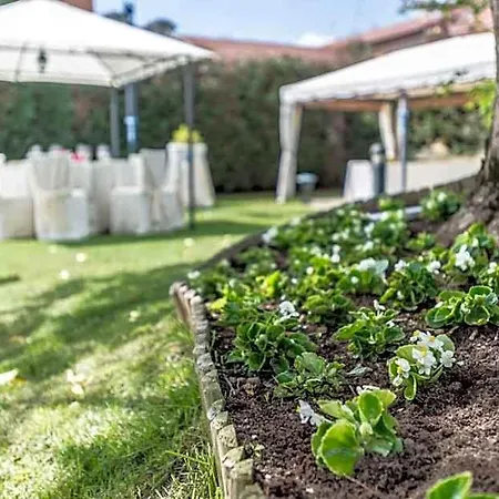 Hotel Il Vigneto 3*