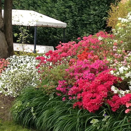 Il Vigneto 3* Gattinara